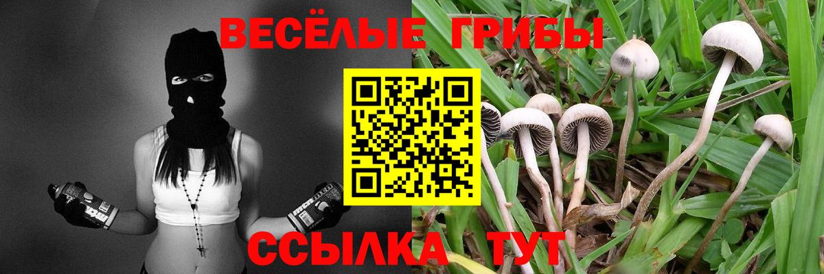 Арсеньев  Галлюциногенные грибы MAGIC MUSHROOMS  Вход с VPN 